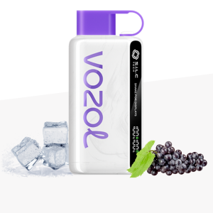 Vozol 12000 Puff Grape Ice
